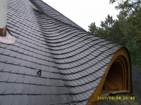 /album/kepgaleria-kezdolap/schuppen-termeszetes-palafedes-3-jpg/